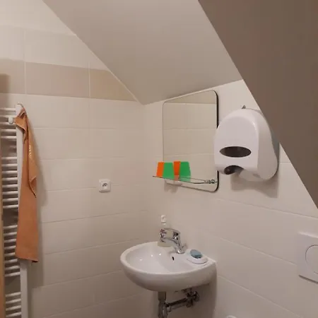 Πανσιόν U Lipy Vysoké Mýto